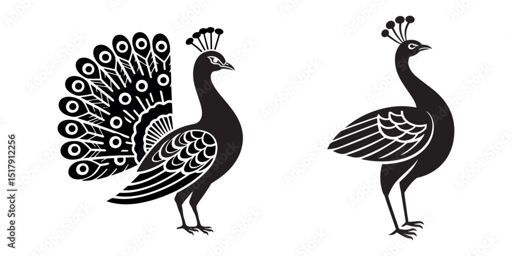 Obraz premium Elegant Peacock Silhouette Illustration for Wildlife and Nature Design Themes White Background.