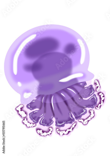 purple jellyfish