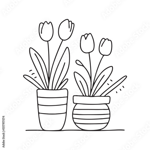 Tulips beside a small pot