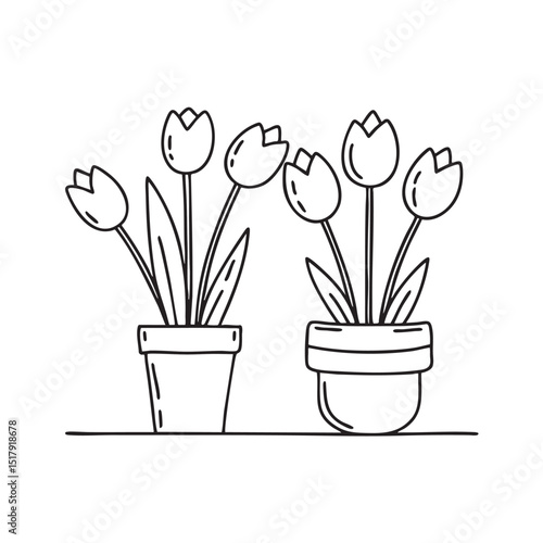 Tulips next to a small pot