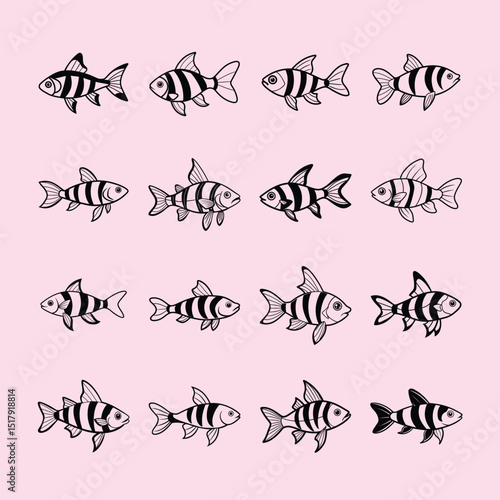 Harlequin Rasbora, aquarium fish line art illustration