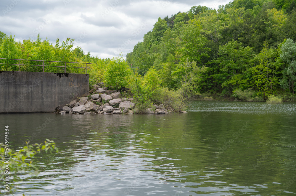 Fototapeta premium Selective focus background image of Quaker Lake NY, Dam spillway spring bloom foliage, outdoors backgrounds