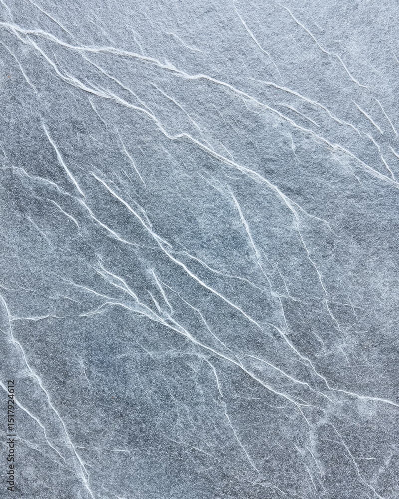 Fototapeta premium Light gray leathered soapstone surface with long white natural mineral veins in macro image