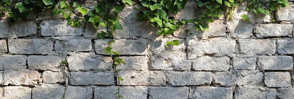Light gray stone wall with climbing ivy Light gray stone wall with climbing ivy