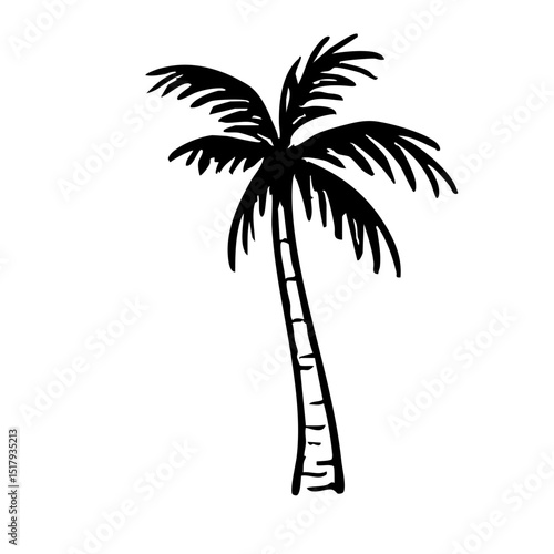 ヤシの木　線画　手書き