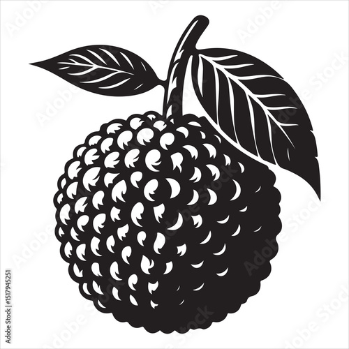 fresh litchi fruit vector silhouette, vector black color silhouette, isolated white background 