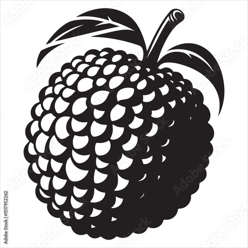 fresh litchi fruit vector silhouette, vector black color silhouette, isolated white background 