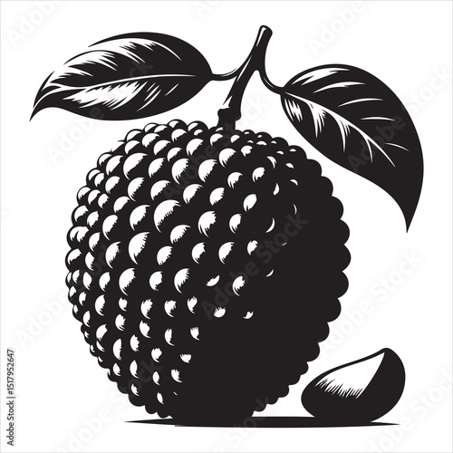 fresh litchi fruit vector silhouette, vector black color silhouette, isolated white background 