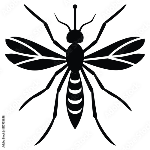 mosquito transparent white base