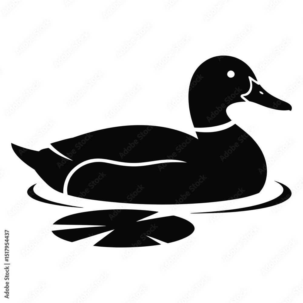 Duck Floating on Calm Pond Surface Duck Floating on Calm Pond Surface