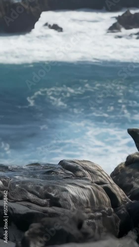 Sea lion sits on rock formation by the ocean looking to the horizon with waves crashing in the background on a sunny day.