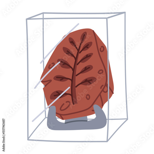 Fossils with plant print on stand, under glass as museum exhibit. A subject for history. Flat color illustration. For scientific projects, encyclopedias, museum exhibitions, materials about dinosaurs