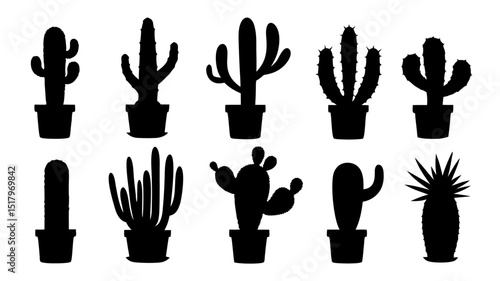 Cactus in pots silhouette