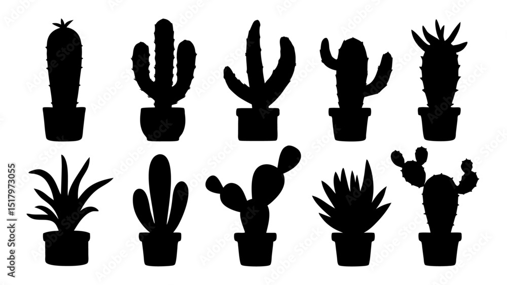 Fototapeta premium Cactus in pots silhouette