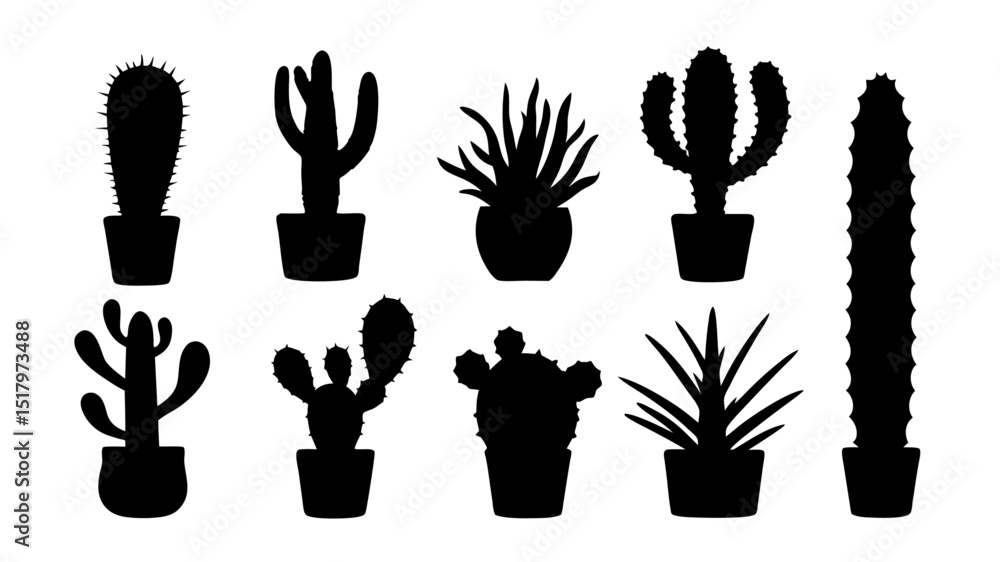 Fototapeta premium Cactus in pots silhouette