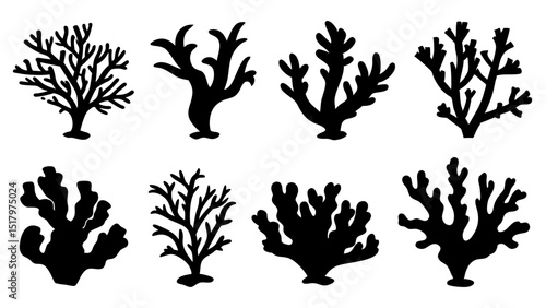 Seaweed silhouettes, coral black icon. Abstract organic shape, underwater plant, matisse element, cute sea doodle.