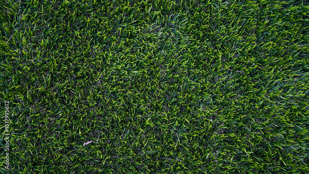Green grass top view background of garden bright grass concept used for making green backdrop, lawn for sports field. Green grass top view background of garden bright grass concept used for making green backdrop, lawn for sports field.