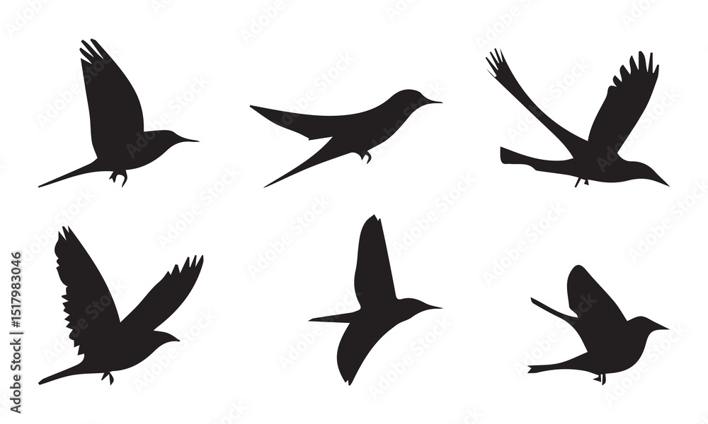 Fototapeta premium set of birds