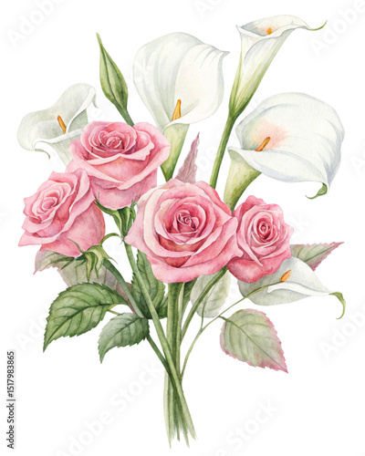 Watercolor illustration flowers on pure white background	
