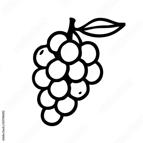 ぶどう　線画　手書き