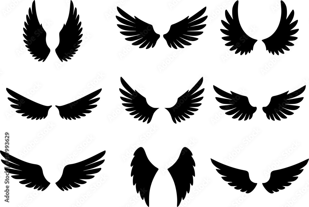 Fototapeta premium set of angel wing isolated for design. cutout Transparent PNG background 
