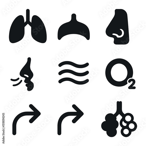 Breathing Process Icons. Solid, filled icons set of breathing process: lungs, diaphragm, nose, mouth, airwaves
