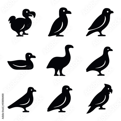 Extinct Bird Icons. Solid, filled icons set of extinct birds: dodo, great auk, Carolina parakeet, Labrador