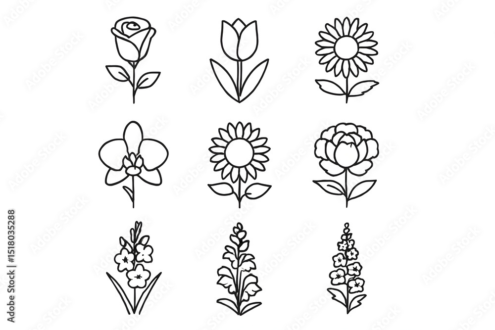 Fototapeta premium Floral Line Art Collection