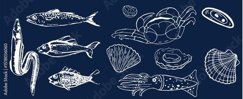 Incredible Hand Drawn Seafood Vectors