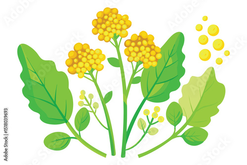 Bright Yellow Flowers and Green Leaves Illustration on White Background