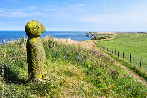 Bempton cliffs coastline with wooden carving of puffin and sheep. Yorkshire, UK.