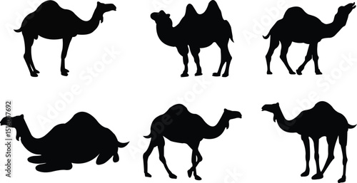 Desert camel flat icons vectors silhouette set. Sand animal transport, egypt arab travel mammal with hump, camel portrait illustration signs. Elements for the holiday of sacrifice and for eid al-adha.