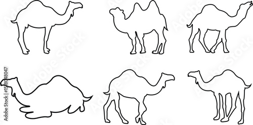 Desert camel outline icons vectors silhouette set. Sand animal transport, egypt arab travel mammal with hump, camel portrait illustration signs. Elements for holiday of sacrifice and for eid al-adha.