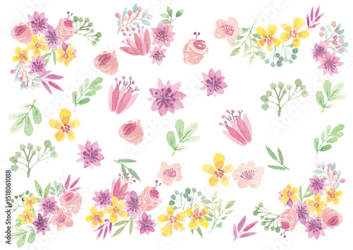 花　植物　水彩