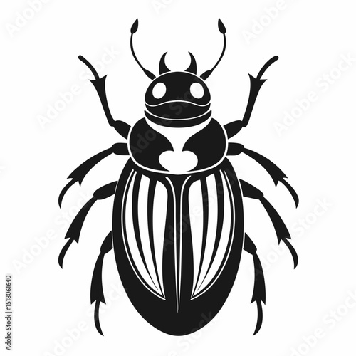 black beetle vector illustration