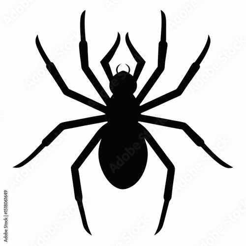 black widow spider