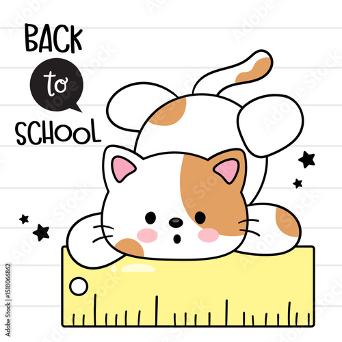 back to school cute cat kitten with ruler school suppliers kawaii animal