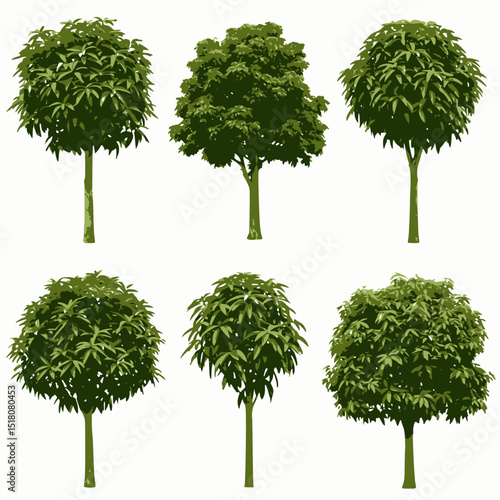 Six isolated vector illustrations of different stylized green trees with brown trunks on a white background.