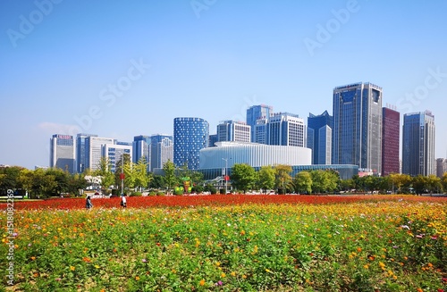 City Landscape in Summer