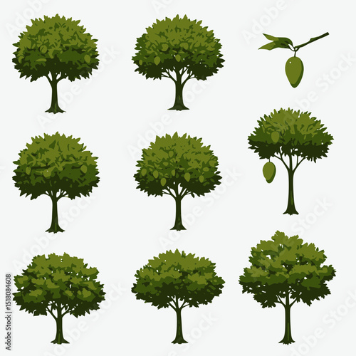 A collection of lush green trees, some bearing ripe orange fruits like oranges or mangoes, on a white background.