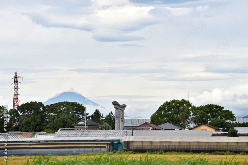 寒川神社の鳥居と富士山が見える寒川の田園風景 寒川神社の鳥居と富士山が見える寒川の田園風景