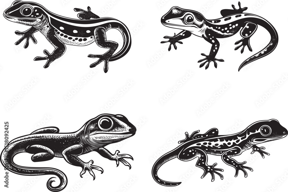 Naklejka premium Crested Gecko SVG