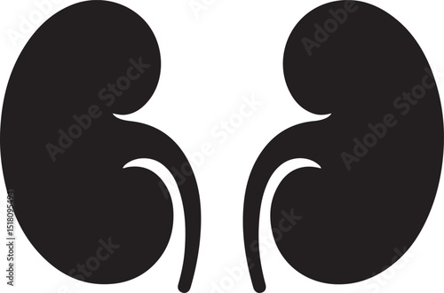 Simple Black Silhouette Icon of Human Kidneys