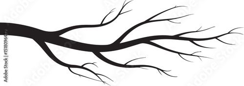 Silhouette of a Bare Tree Branch Isolated on White