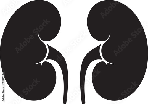 Human Kidneys Icon Black Silhouette Medical Illustration