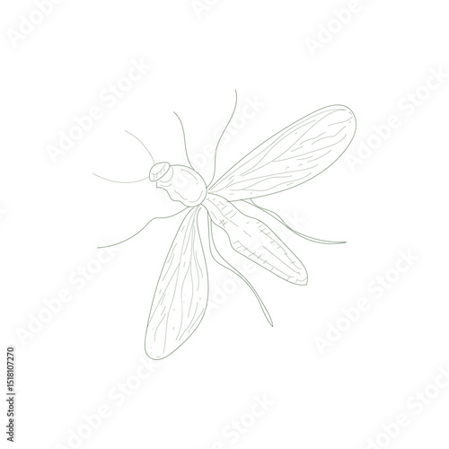 A black and white drawing of a bug with yellow wings. The bug has a black head and is drawn in a simple, minimalist style. The drawing conveys a sense of calm and serenity