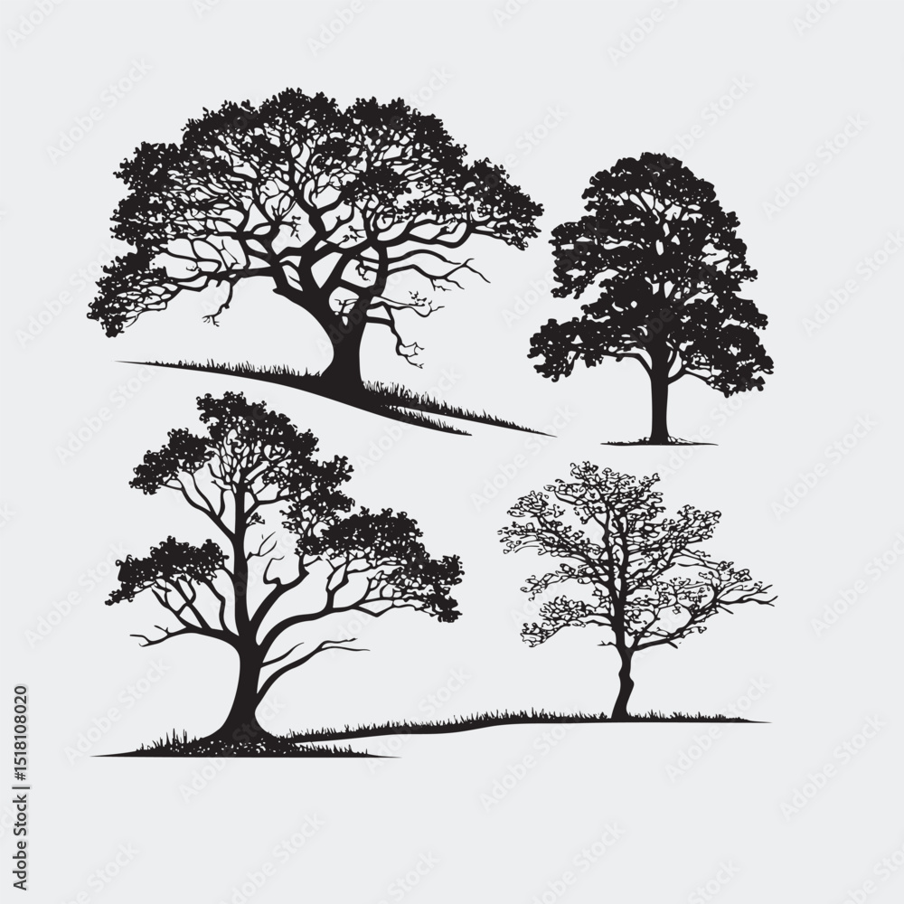 Obraz premium Collection of Four Silhouette Trees in Black and White 