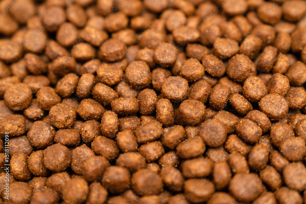 Food for animals background. Dry cat and dog food texture, pattern. Pet meal background close up. Dry food for pet dogs and cats. Dried pet food top view. Granules of good nutrition for dogs and cats. Food for animals background. Dry cat and dog food texture, pattern. Pet meal background close up. Dry food for pet dogs and cats. Dried pet food top view. Granules of good nutrition for dogs and cats.