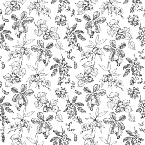 Nuts seamless vector pattern hand drawn with ink. Ornament of graphic elements with branches, fruits and leaves of cashew, pistachio, hazelnut and peanut. Template for label and textile design