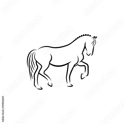 Horse walk